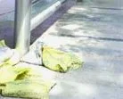 Delhi on HIGH ALERT -Unclaimed Bags found in different parts of Delhi