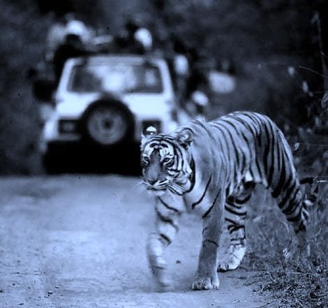 PUNJAB GOVERNMENT TO RESTORE LTC FACILITY FOR ITS EMPLOYEES W.E.F SEPTEMBER THIS YEAR