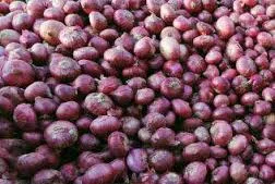 Government notifies Minimum Export Price (MEP) of USD 800 per Metric Ton on onion export to maintain domestic availability