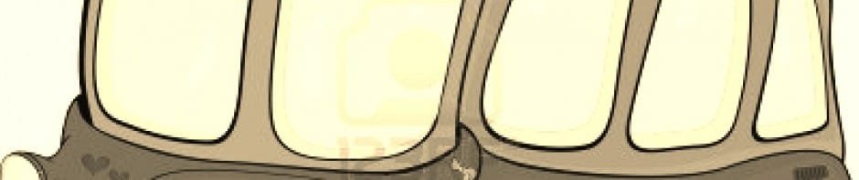 GIRL STUDENTS TO GET FREE BUS TRAVEL IN HARYANA STARTING THIS NEW YEAR 2014