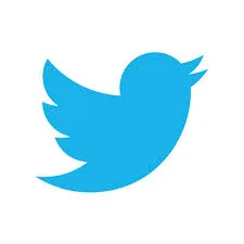 TWITTER SUSPENDING FAKE ACCOUNTS AT RECORD RATE
