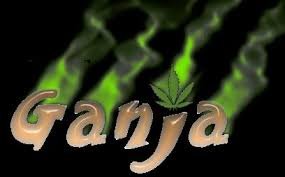 110KG GANJA SEIZED WORTH 1.25 CR.,TWO TRAFFICKERS ARRESTED BY CRIME BRANCH