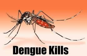 MUMBAI LOSING TO DENGUE, SIGNIFICANT RISE IN DENGUE-RELATED DEATHS