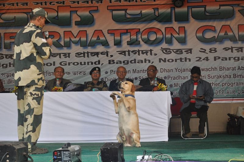 A Dog Show by 144 Bn BSF, mesmerised the audience at the inauguration of the..