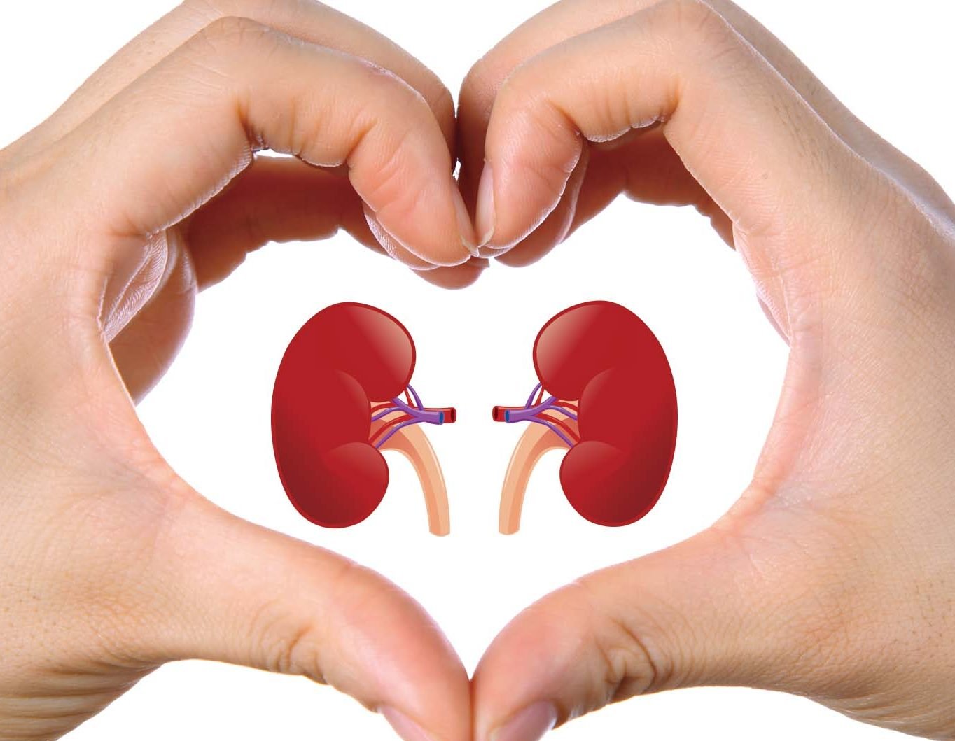 HAVE CHRONIC KIDNEY DISEASE YOU CAN BE AT HIGHER RISK OF DEVELOPING CANCER SAYS A STUDY