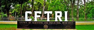 CFTRI ROLLS OUT “RAGI MUDDE” (PORRIDGE BALLS) MAKING MACHINE