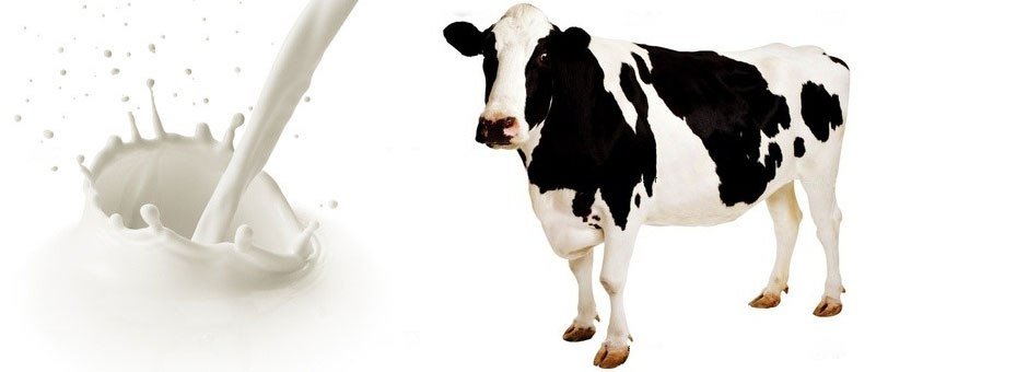 INDIA PROJECTED TO BECOME WORLD’S BIGGEST MILK PRODUCER BY 2026