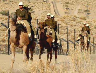 Army plans to introduce camels for patrolling LAC in Ladakh