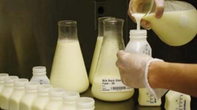 Adulterated milk and its impact on fertility in Indians