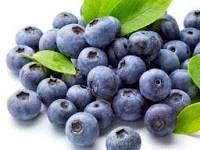 BLUEBERRIES HAS THE CAPABILITY TO ENHANCE MEMORY SAYS RESEARCH