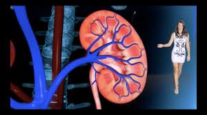 Indian Women as likely to develop Renal problems as men