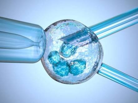 IVF treatment success rate doubles in summers
