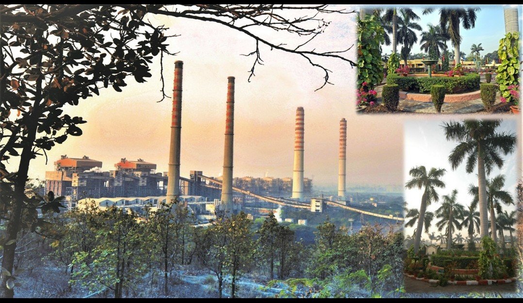 NTPC’s oldest unit at Singrauli records highest PLF so far in current fiscal