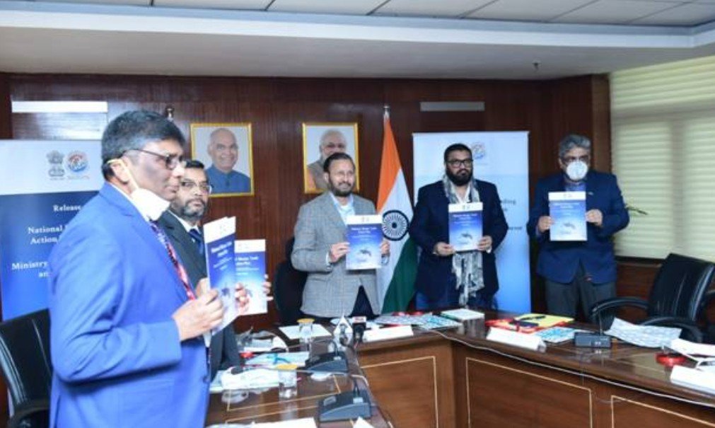 National Marine Turtle Action Plan launched