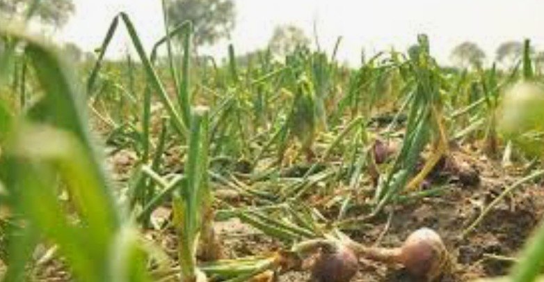 Compensation to Farmers for Crop Loss due to Unseasonal Climate.