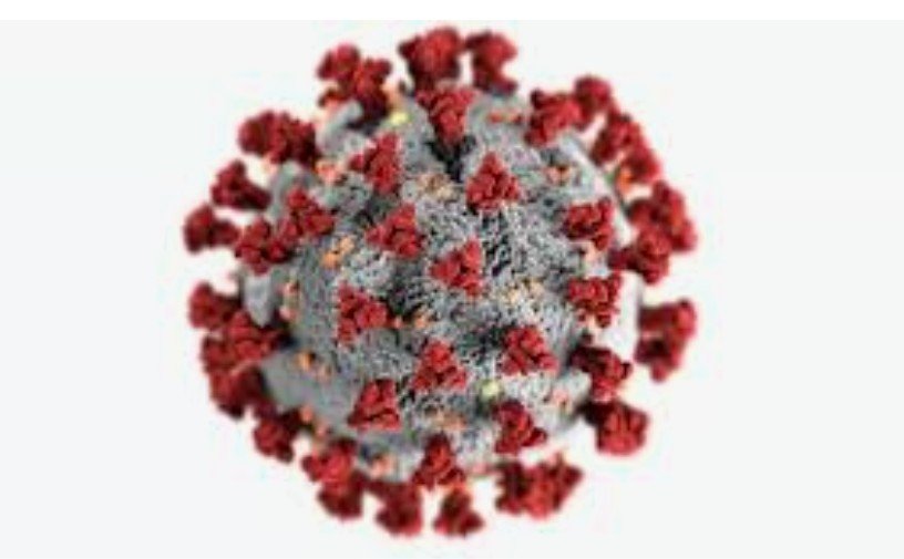 Cabinet Secretary Reviews the COVID Status with all States/UTs – COVID situation in 11 States/UTs a matter of ‘Serious Concern’