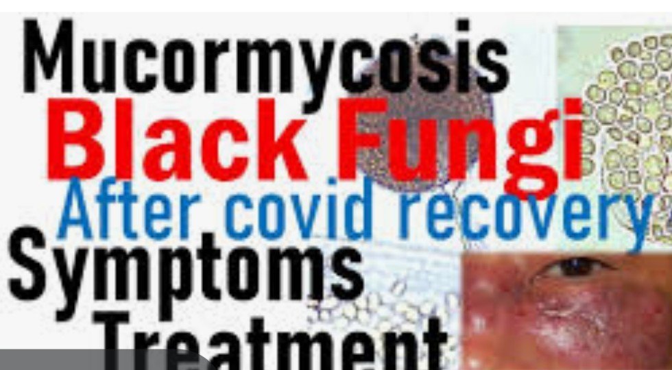 HARVARD MEDICAL SCHOOL (USA) & GANGA RAM HOSPITAL DOCTORS COME TOGETHER TO HELP COVID AND MUCORMYCISIS PATIENTS