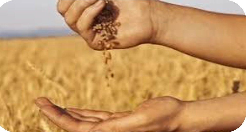 New warehouses to ensure food security