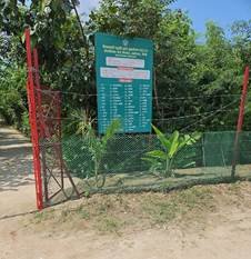 Around 56,000 sq. meters of Dense Forests created in Prayagraj in last two years using Miyawaki Technique